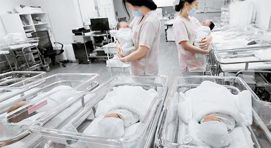 韓国の出生率が持続的に下落し、昨年合計特殊出生率は０．９２人にとどまった。写真は大田市（テジョンシ）のある産婦人科新生児室。［中央フォト］