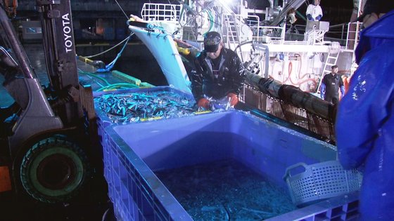 今月２３日午前５時、宮城県女川港でサンマ漁の漁船が水揚げ作業をしている。ＪＴＢＣパク・サンヨン記者