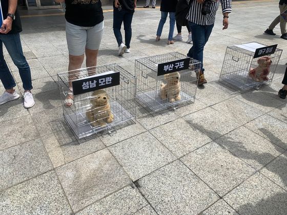  7月６日午前、大邱市庁前で動物保護団体の会員が大邱チルソン市場の犬肉食堂の廃業を求める記者会見を行った。　キム・ユンホ記者