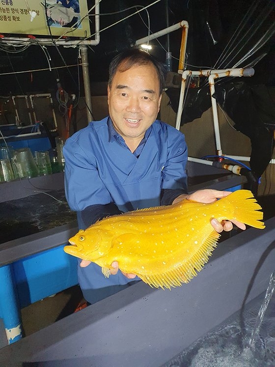 ヘヨンのソ・ジョンピョ代表が直接育てた黄金ヒラメを持ち上げて見せている。クォン・ヒョクジュ論説委員