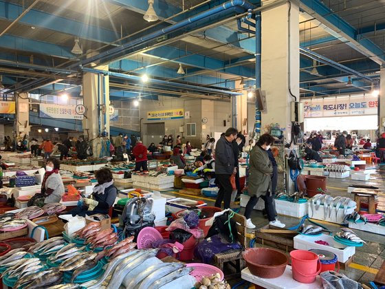 １４日午前、慶尚北道浦項市（ポハンシ）の竹島（チュクド）魚市場で訪問客が水産物を見ている。キム・ジョンソク記者
