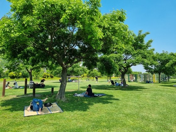 １９日午後２時、ソウル二村（イチョン）の漢江（ハンガン）公園でピクニックを楽しんでいる市民の様子。チェ・ヨンス記者