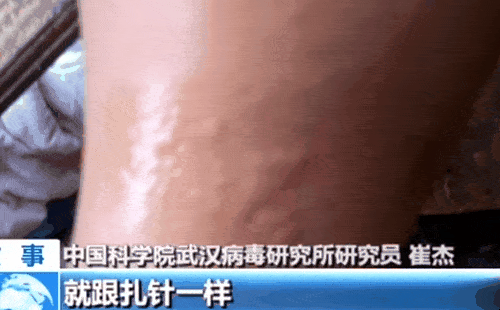 台湾メディアが公開した中国中央テレビ（ＣＣＴＶ）の映像。［映像　ＹｏｕＴｕｂｅ］