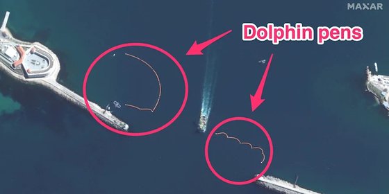 ２７日（現地時間）、米国衛星企業マクサー・テクノロジーズが公開した黒海セバストポリ港の海軍基地埠頭近隣の衛星写真にイルカの囲い２つが設置された様子が撮影された。［写真　マクサー・テクノロジーズ］