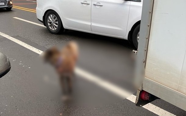 済州で犬をチェーンで繋いだまま走行していたトラック