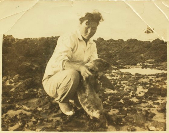 １９５０－６０年代に独島で済州の海女キム・ゴンジャさんがアシカを抱く姿。　［写真　独島義兵隊］