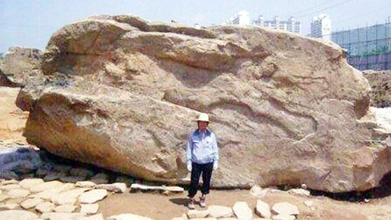 ２００６年慶尚南道金海市亀山洞（キョンサンナムド・キムヘシ・クサンドン）宅地開発当時に発見された支石墓の様子。この支石墓は世界最大規模と推定されてきた。［写真　金海市］