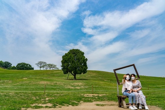 ソウル夢村土城（モンチョントソン）の「ナホロナム（一人ぼっちの木）」の前で記念写真を撮影している観光客。ペク・ジョンヒョン記者