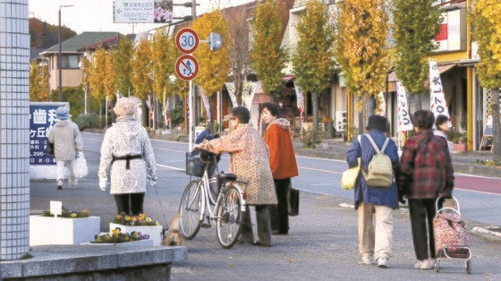 埼玉県鳩山ニュータウンは２０年間で人口が２０％減り住宅の２５％が空いている。通りでは若者を見るのは難しく、犬と散歩する高齢者によく出会う。［中央フォト］
