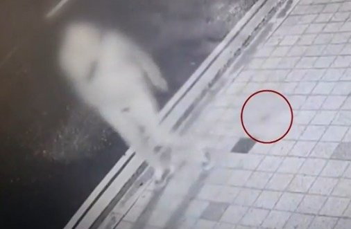 夜明けに大便を落として去っていく韓国人男性［ＹＴＮ　キャプチャー］