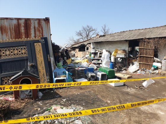 ３月６日、京畿道楊平郡の古物商。約１２００匹の犬の死体が発見された住宅の前にポリスラインが設置されている。　チョン・イクジン記者