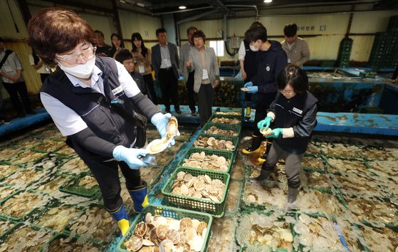日本産水産物の検査のために検体を採取している様子［写真　ニュース１］
