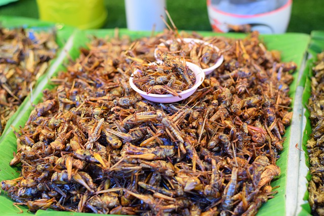 資料写真　［Pixabay］