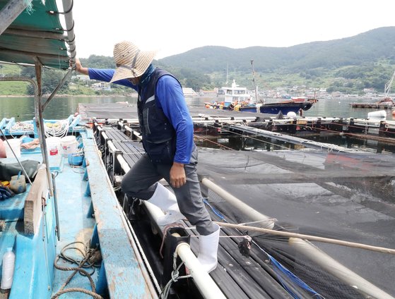 黒い遮光幕が設置された養殖場。［写真　聯合ニュース］
