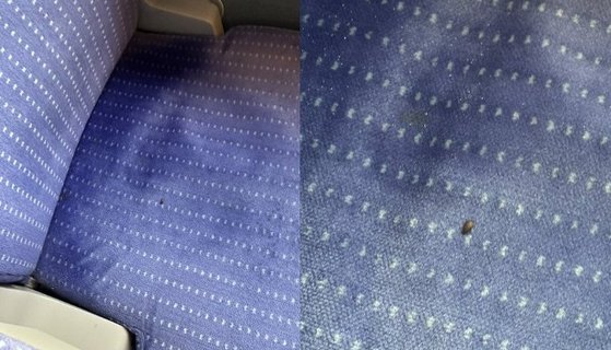 ９月１９日（現地時間）、フランスのあるネットユーザーが自身のソーシャルメディア（ＳＮＳ）に汽車の椅子からトコジラミ（南京虫）を発見したという掲示文を載せ、７００万回以上の再生回数を記録した。［Ｄａｎａ　Ｄｅｌ　Ｒｅｙのツイッター　キャプチャー］