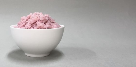 延世（ヨンセ）大学のホン・ジンギ教授チームがコメにウシの幹細胞を付けて新たな培養肉を開発した。写真は牛肉米で炊いたご飯。［写真　延世大学］