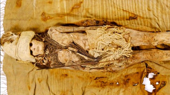 中国の新疆タリム盆地で発見された約３５００年前の青銅器時代のミイラ［写真　聯合ニュース］