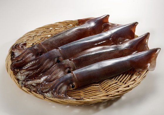 韓国産のイカ　［写真　ロッテショッピング］