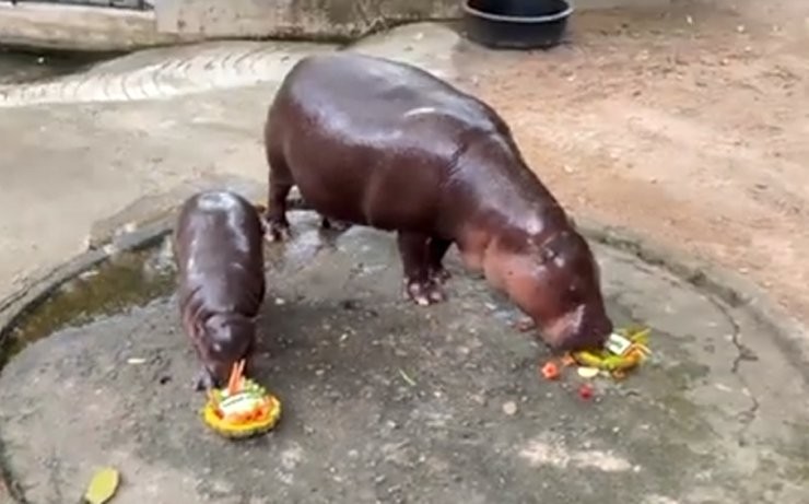 トランプ側の皿を選んで果物を食べるムデン。［写真　ユーチューブ（ＹｏｕＴｕｂｅ）　キャプチャー］