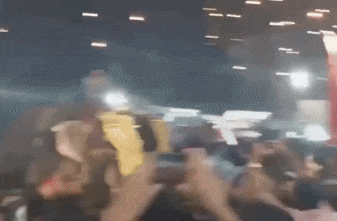 インドの宗教祭りで人の足をつかんで乱暴に振る象。 ​