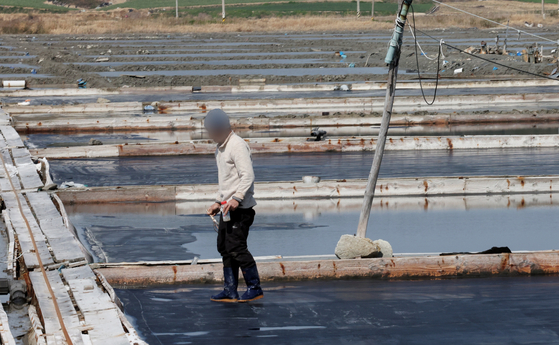 塩田の様子を確認している太平塩田の作業員。［写真　聯合ニュース］