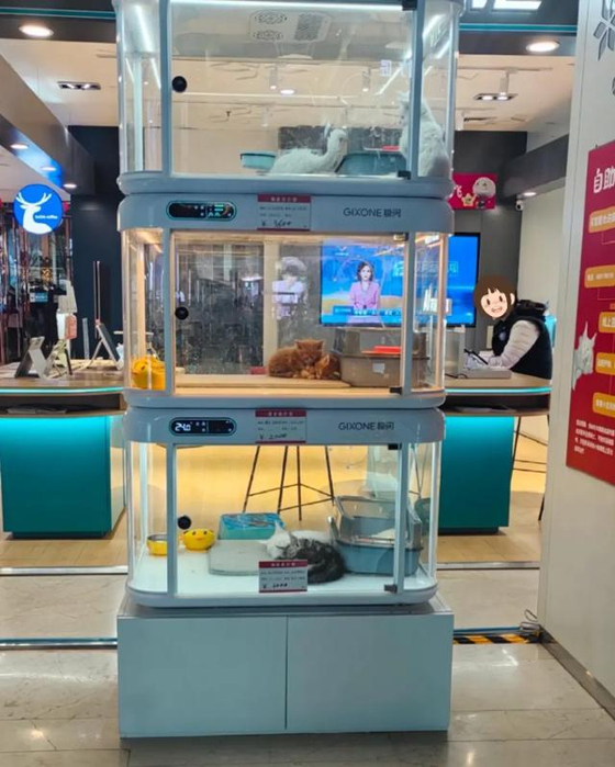 中国山東省のあるショッピングモールに設置されたペット（伴侶動物）自販機。［百度　キャプチャー］