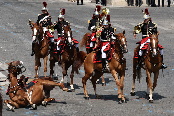 フランス革命記念日の軍事パレード中につまずいて騎手を振り落とした馬。［写真　ロイター＝聯合ニュース］