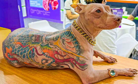   全身にタトゥーを入れられた犬。［レッドノート　キャプチャー］