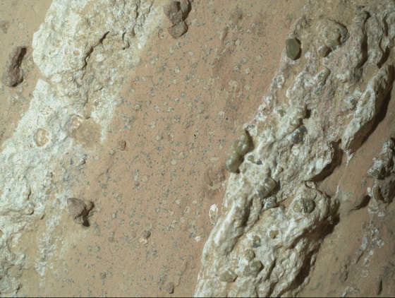 火星チェヤバ滝付近で採取された岩石サンプル「サファイア・キャニオン」の表面。［写真 NASA］