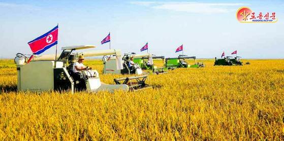 北朝鮮の住民が農機械を利用してコメを刈り取る姿。［写真 労働新聞＝ニュース1］