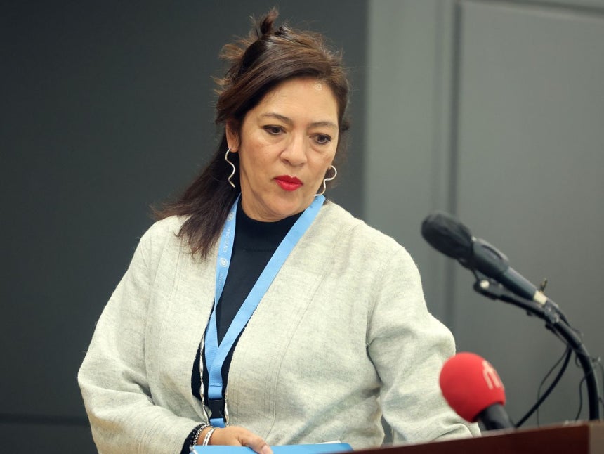 国連北朝鮮人権状況特別報告者のエリザベス・サルモン氏が6日午前、ソウル鍾路区のソウルグローバルセンターで記者会見を行った。［ニュース1］