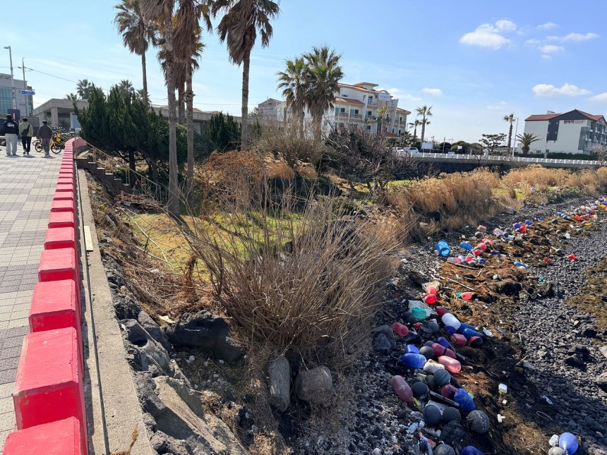 済州市梨湖洞の海岸を埋め尽くした廃棄漁具とアカモク。チェ・チュンイル記者