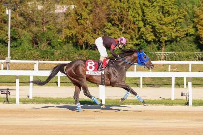 コリアカップ優勝馬のディクテオン。昨年に続き2年連続で頂点に立った。 ［写真 韓国馬事会］