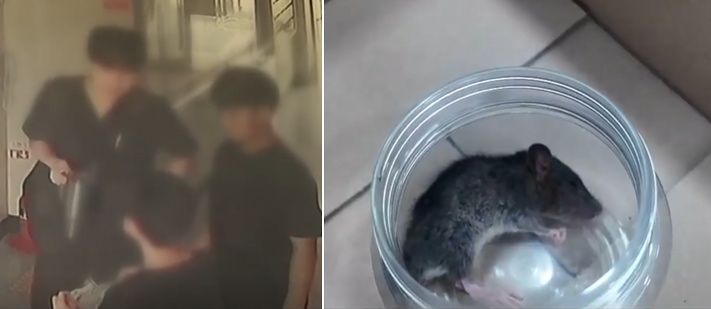 動物病院に野生のネズミの治療を依頼する小学生たち。［トンヘン動物病院ユーチューブ キャプチャー］