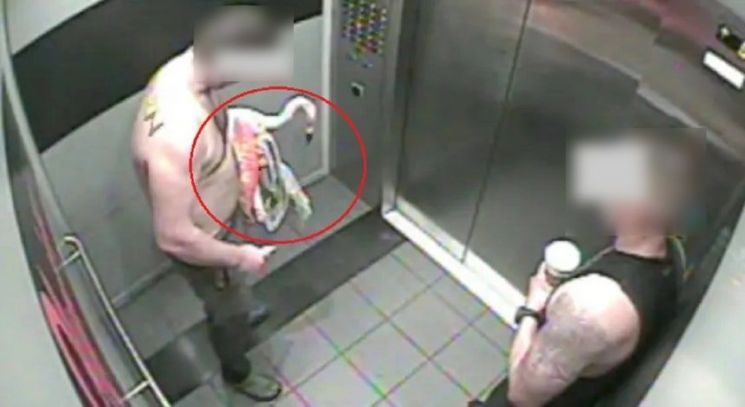  泥酔したカナダ人観光客がフラミンゴを盗み連れていく様子。［写真 米ラスベガス都市圏警察］