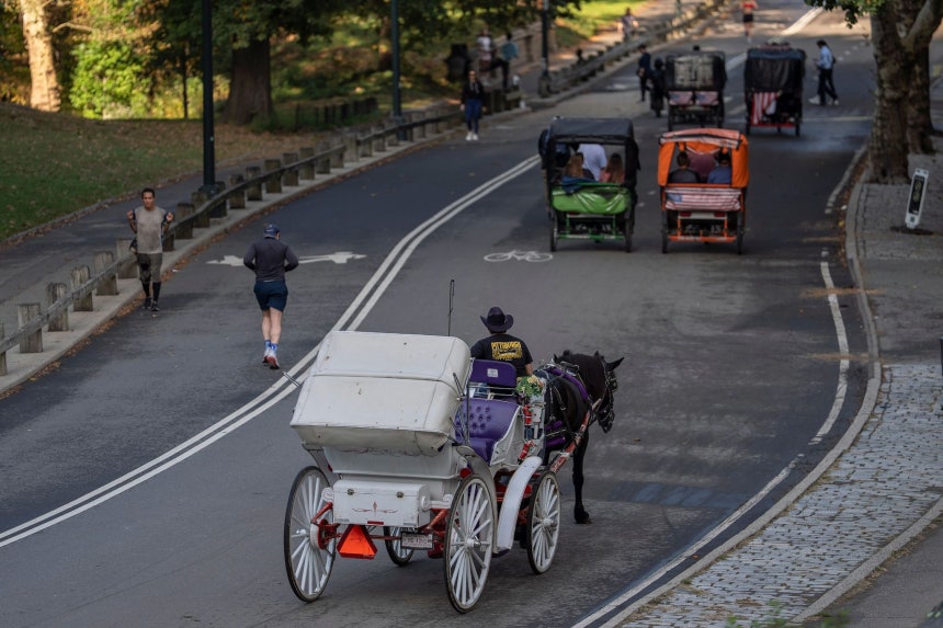 14日（現地時間）、米ニューヨークのセントラルパークで観光客を乗せた馬車が公園内を走っている。AP＝聯合ニュース